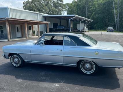 1966 Chevrolet Nova SS s match L79 protect o plate rare factory painted hard top