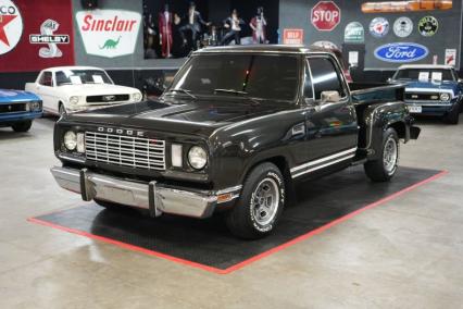 1977 Dodge D150 Adventurer SE