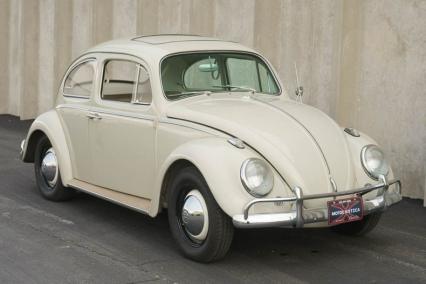 1964 Volkswagen Beetle