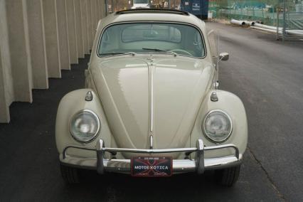 1964 Volkswagen Beetle