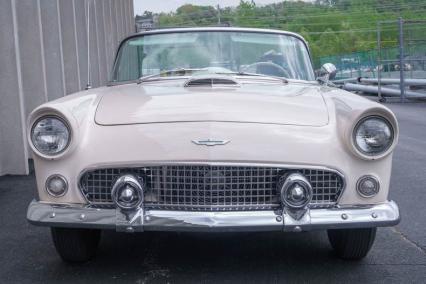 1956 Ford Thunderbird Roadster