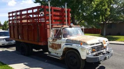 1964 Ford F600