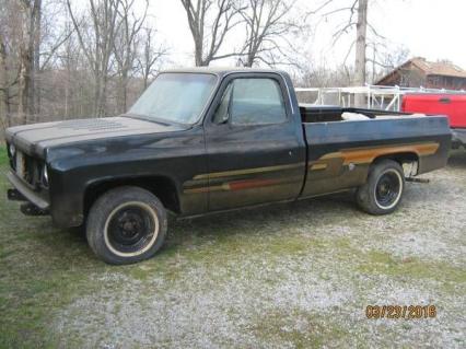 1976 Chevrolet Silverado