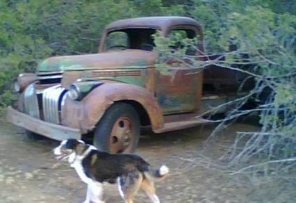 1946 Chevrolet Pickup