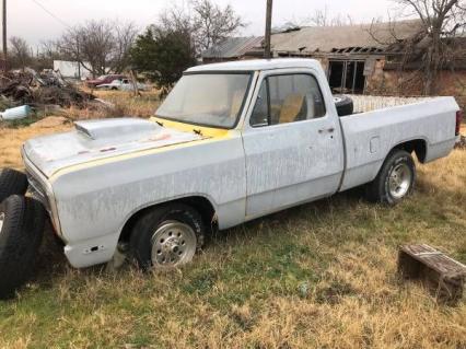 1981 Dodge Pickup