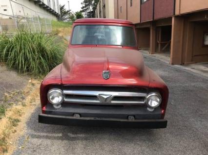 1953 Ford F100