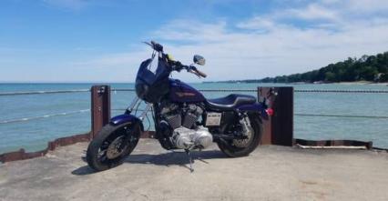 1999 Sportster 1200 Sport -