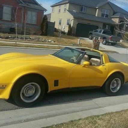 1981 Chevrolet Corvette