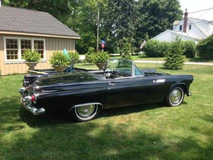 1955 Ford Thunderbird