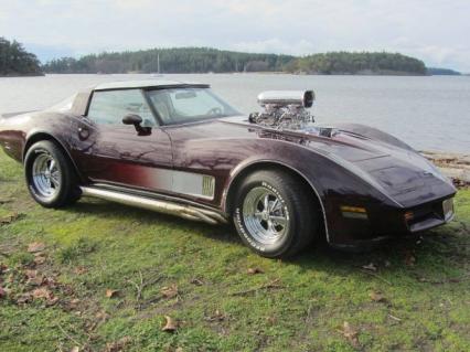 1980 Chevrolet Corvette