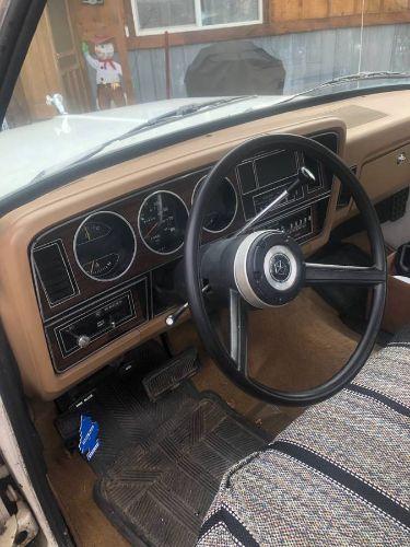 1982 Dodge D150