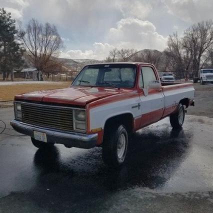 1980 Chevrolet CK 1500