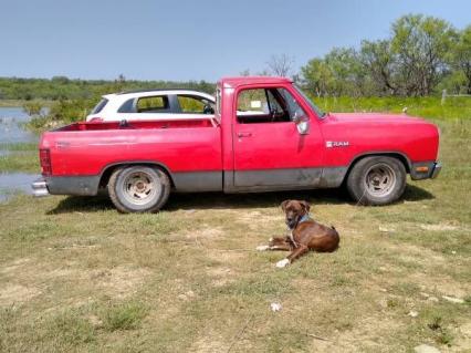 1982 Dodge D150