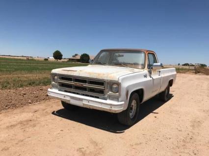 1976 GMC Pickup