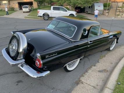 1956 Ford Thunderbird