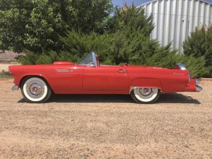 1955 Ford Thunderbird