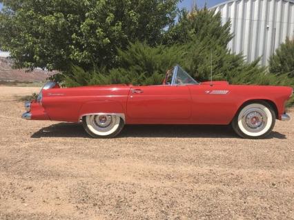 1955 Ford Thunderbird