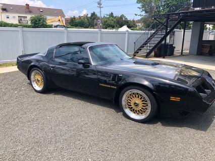 1979 Pontiac Trans Am