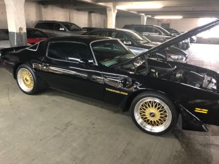 1979 Pontiac Trans Am