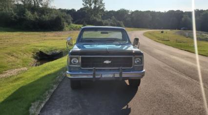 1978 Chevrolet Silverado