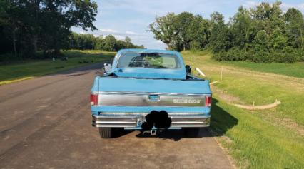 1978 Chevrolet Silverado