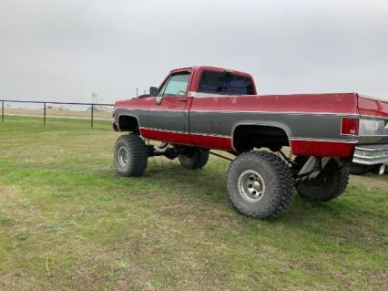 1979 Chevrolet Silverado