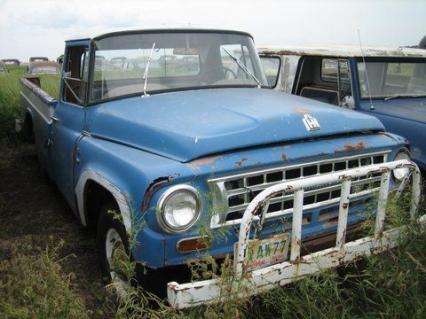 1965 International Pickup