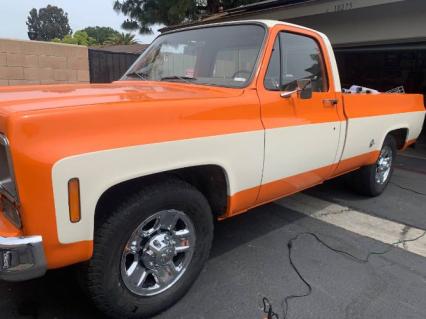 1975 Chevrolet C20