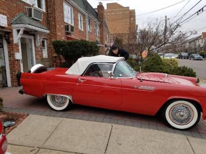 1955 Ford Thunderbird