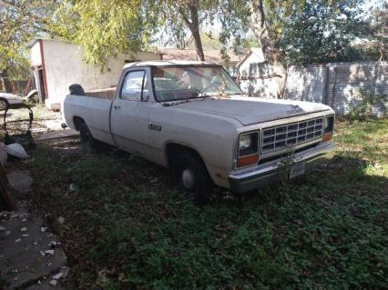 1981 Dodge Ram