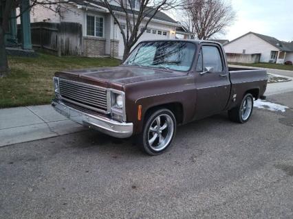 1979 GMC Pickup