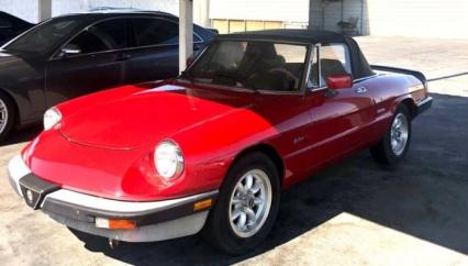 1988 Alfa Romeo Spider