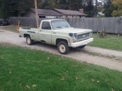 1974 Chevrolet 1500