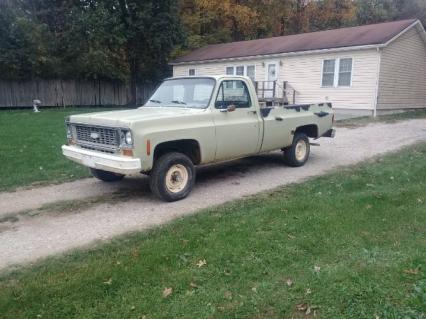 1974 Chevrolet 1500