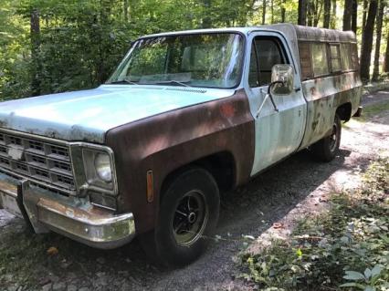 1977 Chevrolet C10