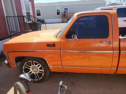 1979 Chevrolet C10