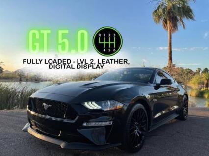 2019 Ford Mustang