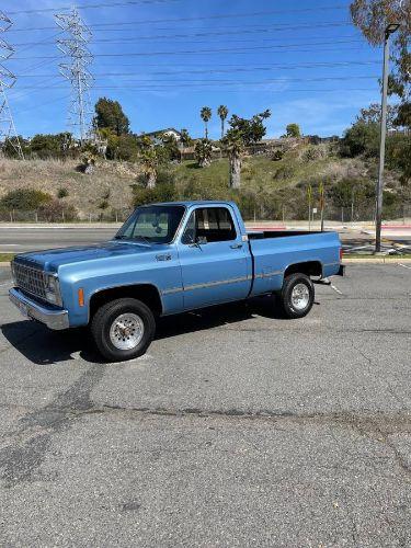 1980 Chevrolet Custom