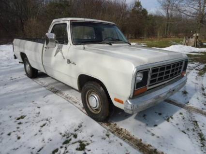 1985 Dodge Pickup