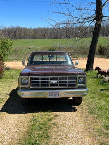 1979 Chevrolet Scottsdale