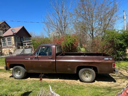 1979 Chevrolet Scottsdale