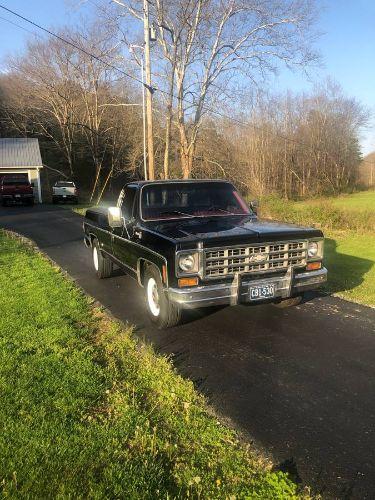 1978 Chevrolet C20