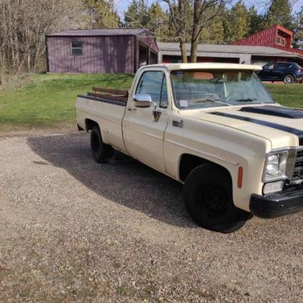 1978 Chevrolet C10