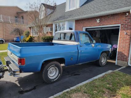 1977 Chevrolet C10