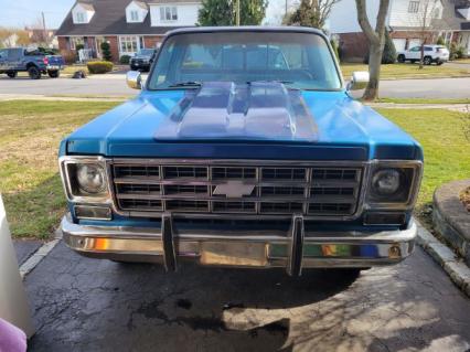 1977 Chevrolet C10