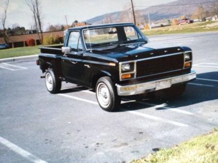 1981 Ford F100