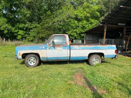 1976 Chevrolet Silverado