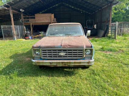 1976 Chevrolet Silverado