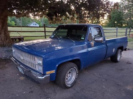 1981 Chevrolet C10