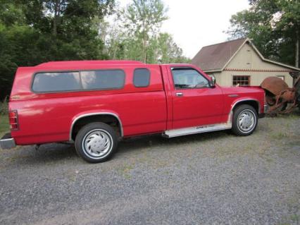 1987 Dodge Dakota